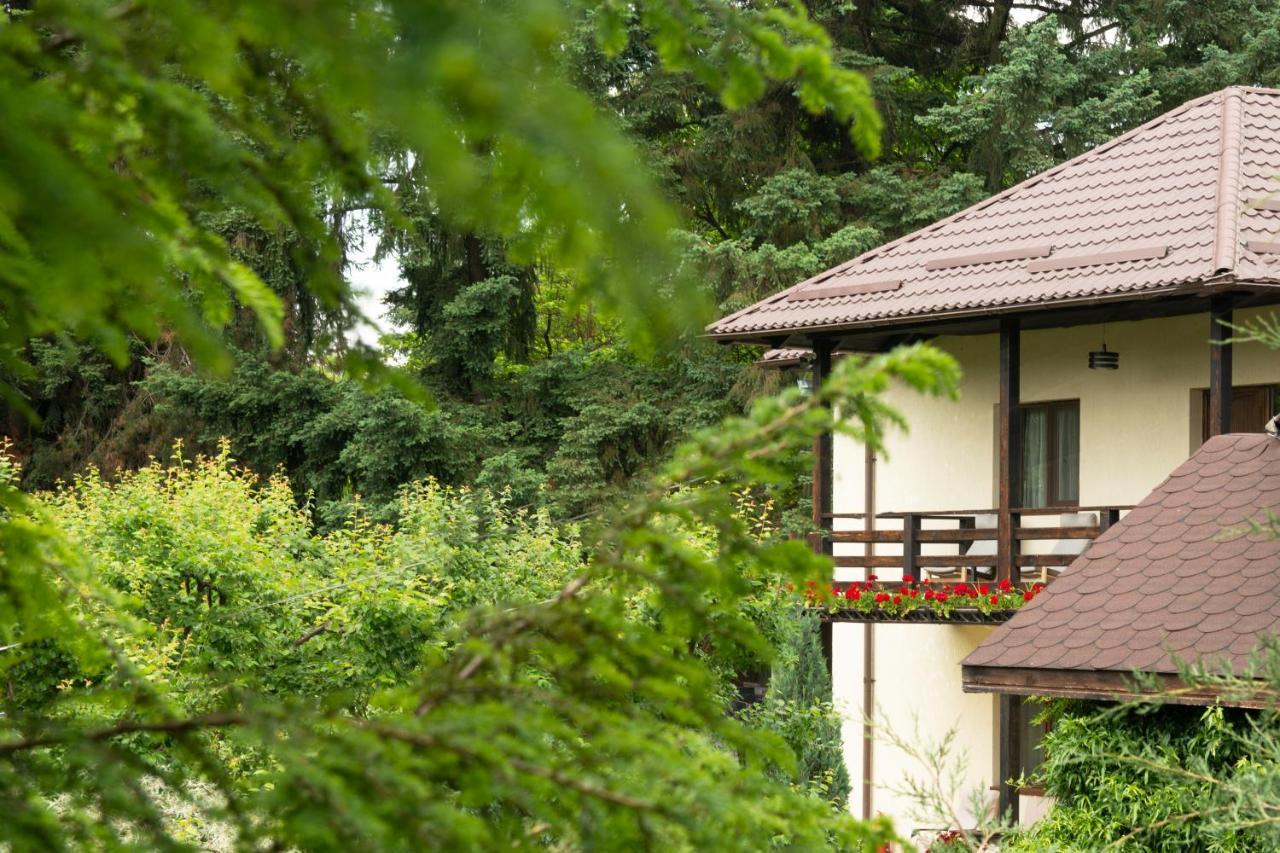 Pension Andra'S House Horezu Exterior photo