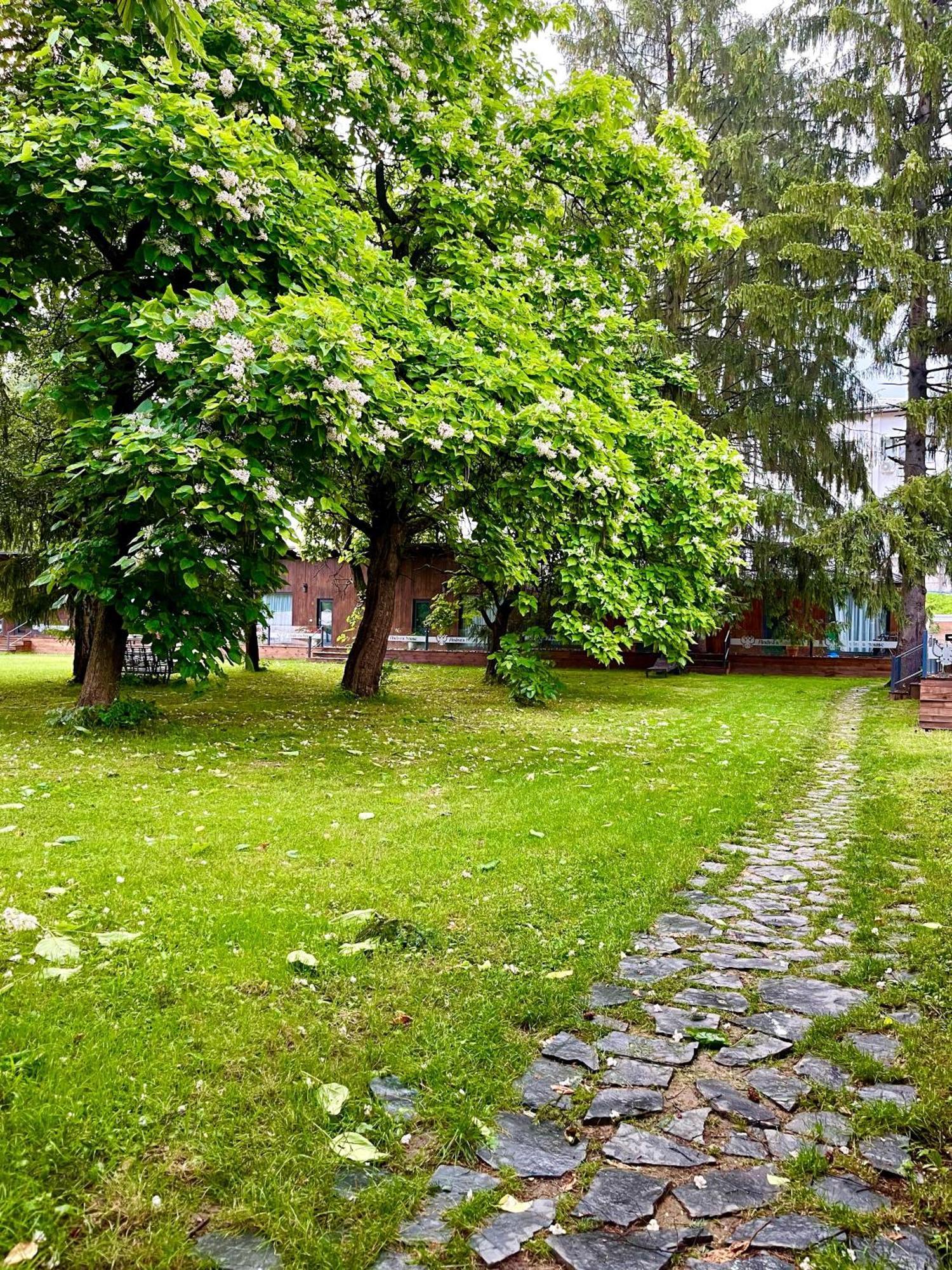 Pension Andra'S House Horezu Exterior photo